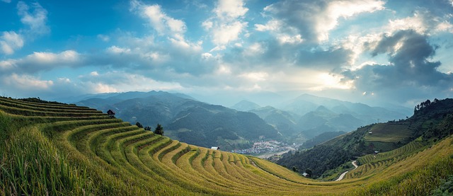 tropická krajina